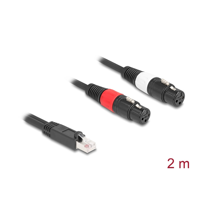 Delock Adapterkabel RJ45 Stecker zu 2 x XLR 3 Pin Buchse schwarz 2 m