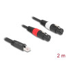 Delock Adapterkabel RJ45 Stecker zu 2 x XLR 3 Pin Buchse schwarz 2 m