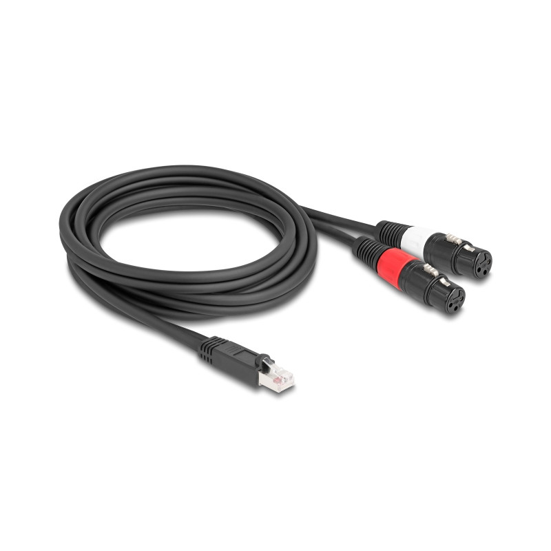 Delock Adapterkabel RJ45 Stecker zu 2 x XLR 3 Pin Buchse schwarz 2 m
