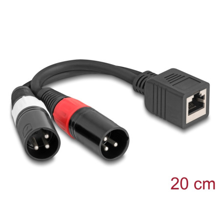 Delock Adapterkabel RJ45 Buchse zu 2 x XLR 3 Pin Stecker schwarz 20 cm