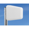 Delock LTE Band 20/1/3/7 Antenne N Buchse 8 ~ 9 dBi 5 m RG-58 direktional weiß outdoor