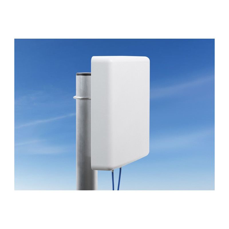 Delock LTE MIMO Antenne 2 x N Buchse 8 dBi direktional mit Anschlusskabel RG-402 37 cm outdoor beige