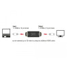 Delock Repeater HDMI 4K 60 Hz 30 m