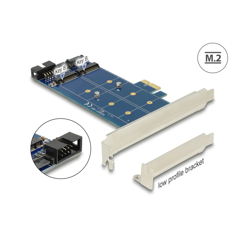Delock PCI Express x1 Karte - 2 x intern M.2 NGFF