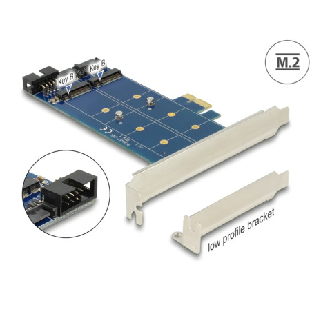 Delock PCI Express x1 Karte - 2 x intern M.2 NGFF