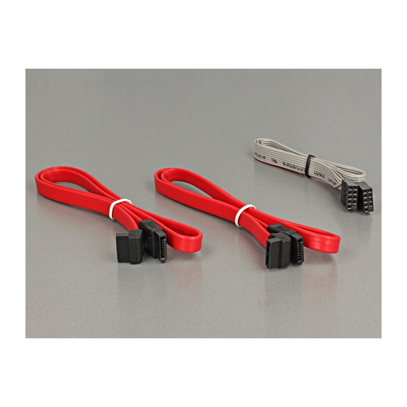 Delock PCI Express x1 Karte - 2 x intern M.2 NGFF