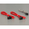 Delock PCI Express x1 Karte - 2 x intern M.2 NGFF