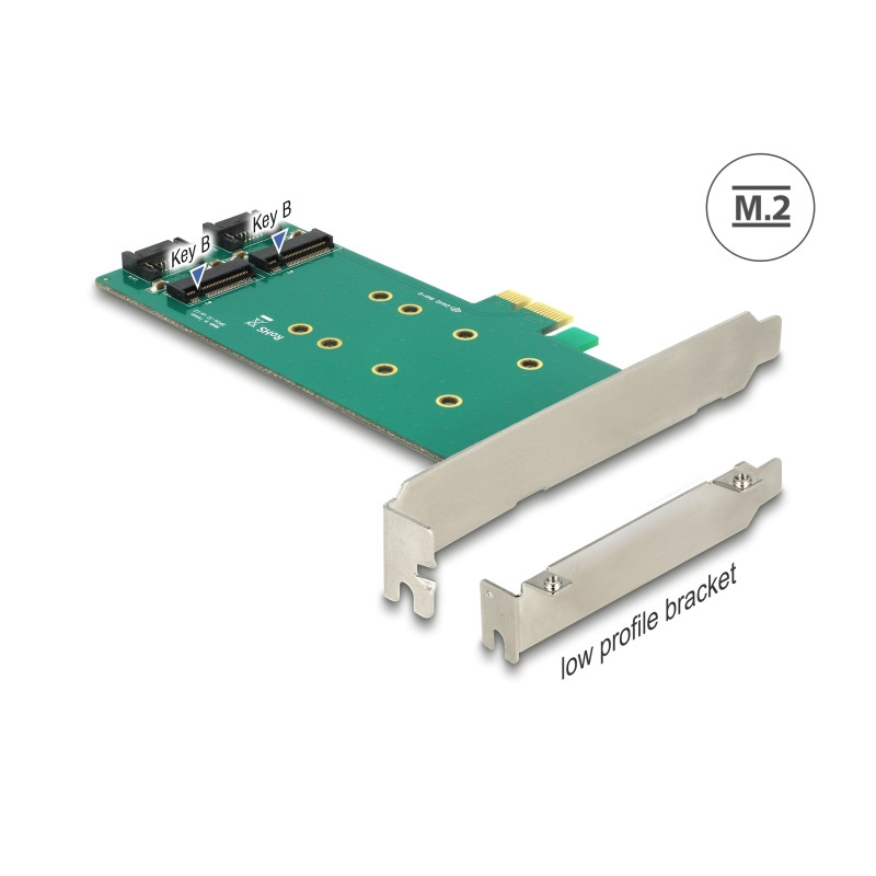 Delock PCI Express x1 Karte - 2 x intern M.2 Key B 110 mm - Low Profile Form Faktor