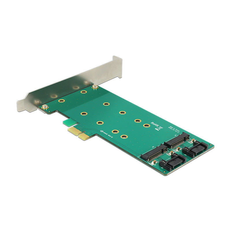 Delock PCI Express x1 Karte - 2 x intern M.2 Key B 110 mm - Low Profile Form Faktor