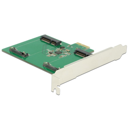 Delock PCI Express x1 Karte - 2 x intern mSATA