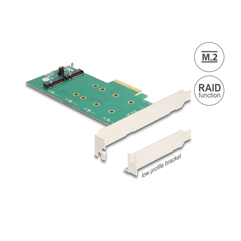 Delock PCI Express x4 Karte - 2 x intern M.2 Key B mit RAID - Low Profile Form Faktor