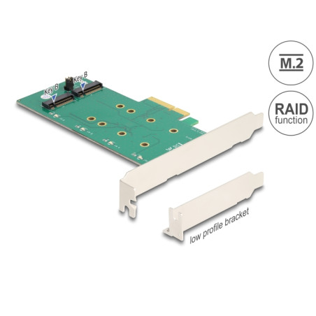 Delock PCI Express x4 Karte - 2 x intern M.2 Key B mit RAID - Low Profile Form Faktor