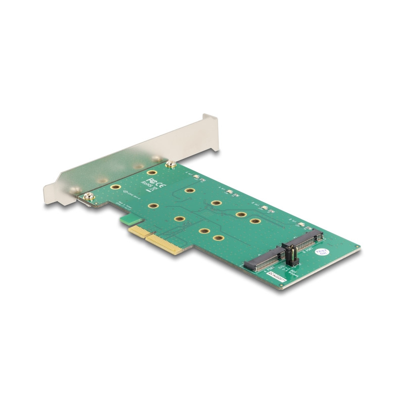 Delock PCI Express x4 Karte - 2 x intern M.2 Key B mit RAID - Low Profile Form Faktor