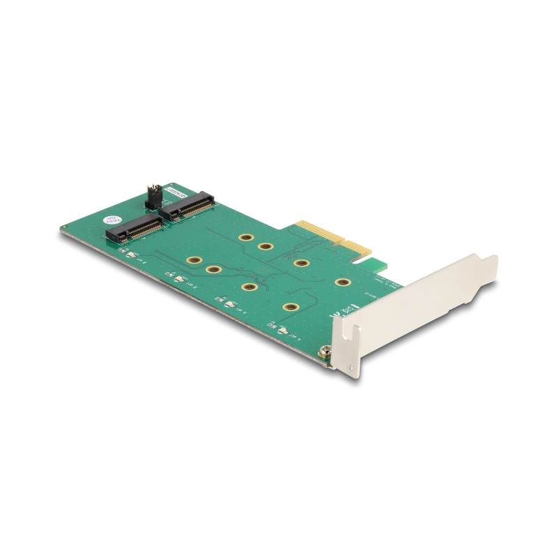 Delock PCI Express x4 Karte - 2 x intern M.2 Key B mit RAID - Low Profile Form Faktor