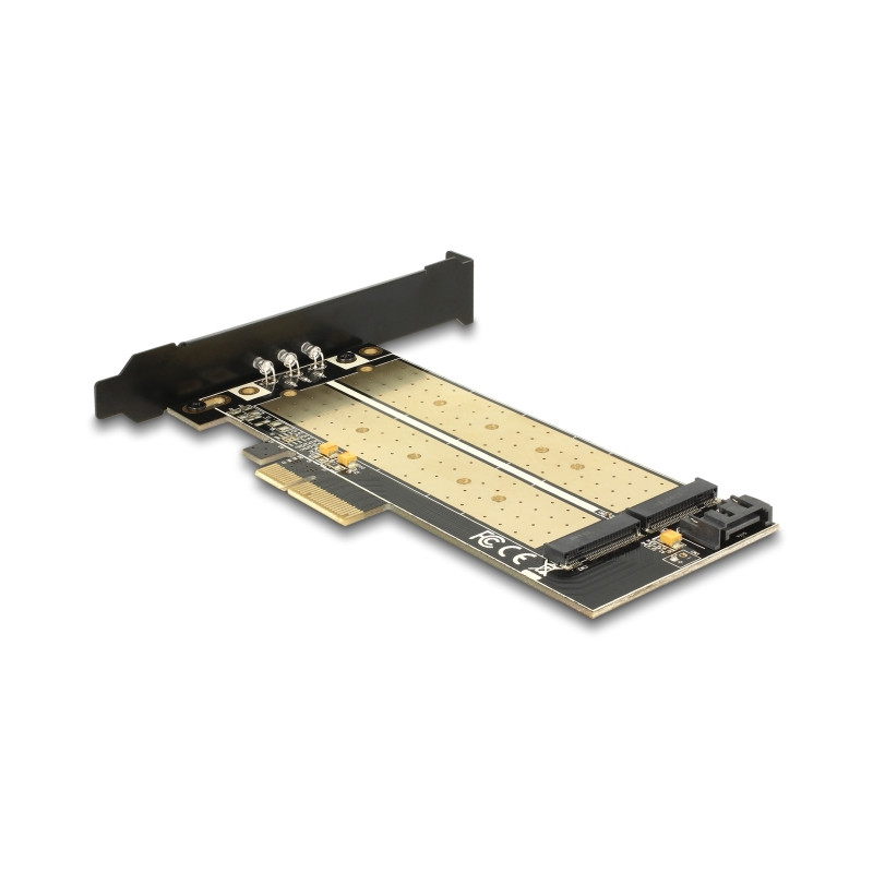 Delock PCI Express x4 Karte - 1 x intern M.2 Key B + 1 x intern NVMe M.2 Key M - Low Profile Formfaktor