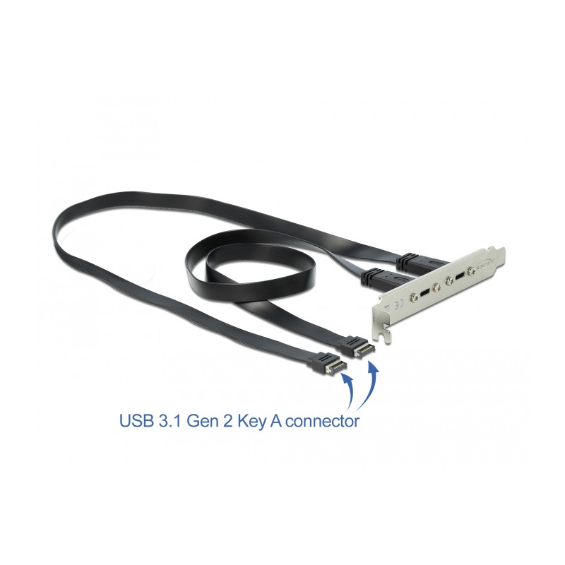 Delock USB 10 Gbps Slotblech mit 2 x USB Type-C™ Port
