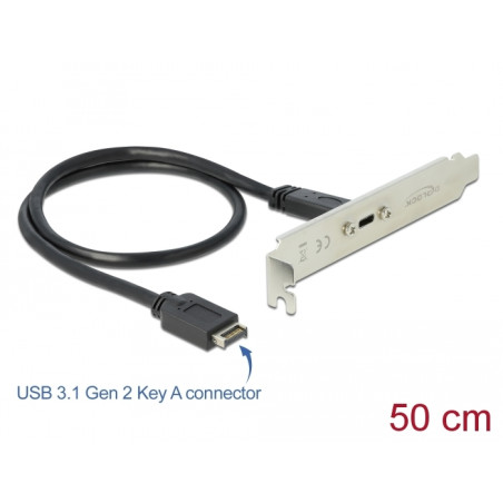 Delock USB 10 Gbps Slotblech mit 1 x USB Type-C™ Port