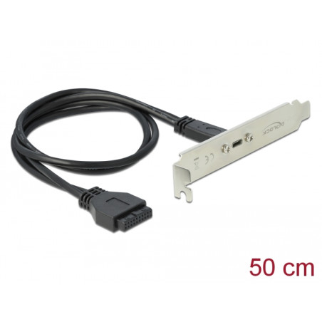 Delock USB 5 Gbps Slotblech mit 1 x USB Type-C™ Port