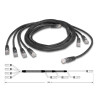 Delock RJ45 Trunk-Kabel 4 x Stecker zu 4 x Stecker Cat.5e UTP schwarz