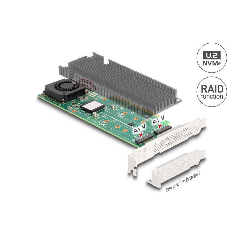 Delock PCI Express x8 Karte zu 2 x intern NVMe M.2 Key M mit RAID - Low Profile Formfaktor