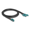 Delock Kabel Mini FAKRA Z Buchse quad zu 4 x FAKRA Z Stecker B-Typ