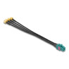 Delock Kabel Mini FAKRA Z Buchse quad zu 4 x SMA Stecker