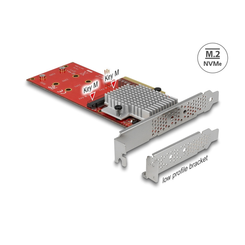 Delock PCI Express x8 Karte zu 2 x intern NVMe M.2 Key M - Low Profile Formfaktor