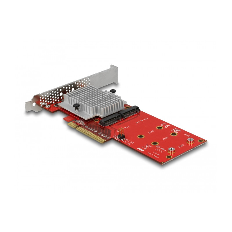 Delock PCI Express x8 Karte zu 2 x intern NVMe M.2 Key M - Low Profile Formfaktor