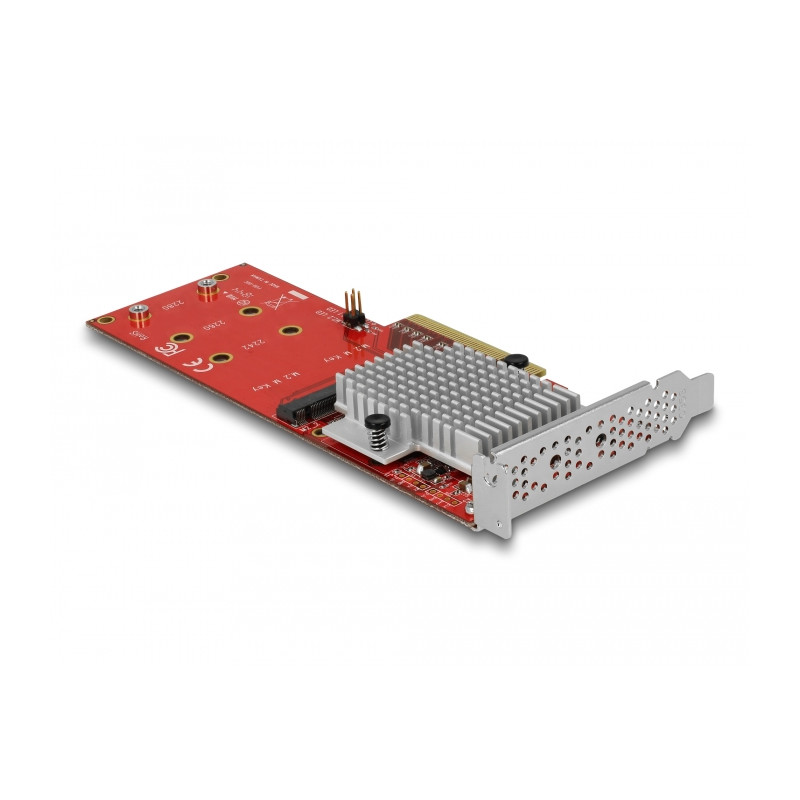 Delock PCI Express x8 Karte zu 2 x intern NVMe M.2 Key M - Low Profile Formfaktor