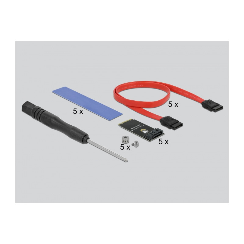 Delock PCI Express x16 Karte zu 5 x intern M.2 Key B / SATA
