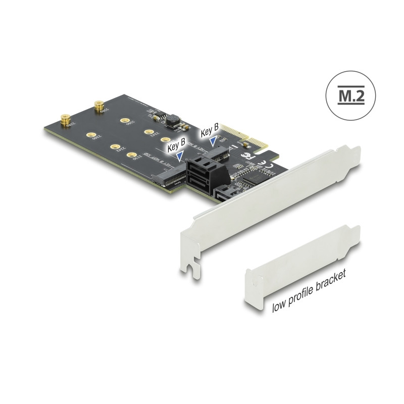 Delock 3 Port SATA und 2 Slot M.2 Key B PCI Express x4 Karte - Low Profile Formfaktor