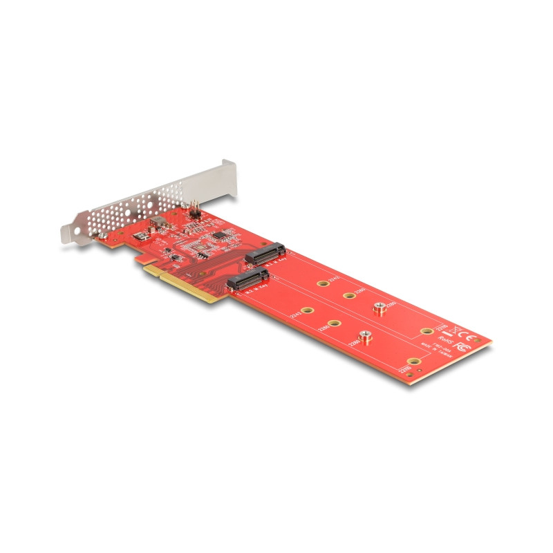 Delock PCI Express x8 Karte zu 2 x intern NVMe M.2 Key M 110 mm - Bifurcation - Low Profile Formfaktor