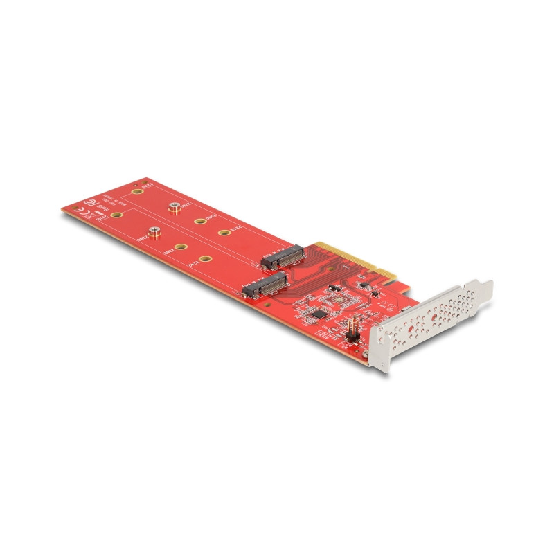 Delock PCI Express x8 Karte zu 2 x intern NVMe M.2 Key M 110 mm - Bifurcation - Low Profile Formfaktor