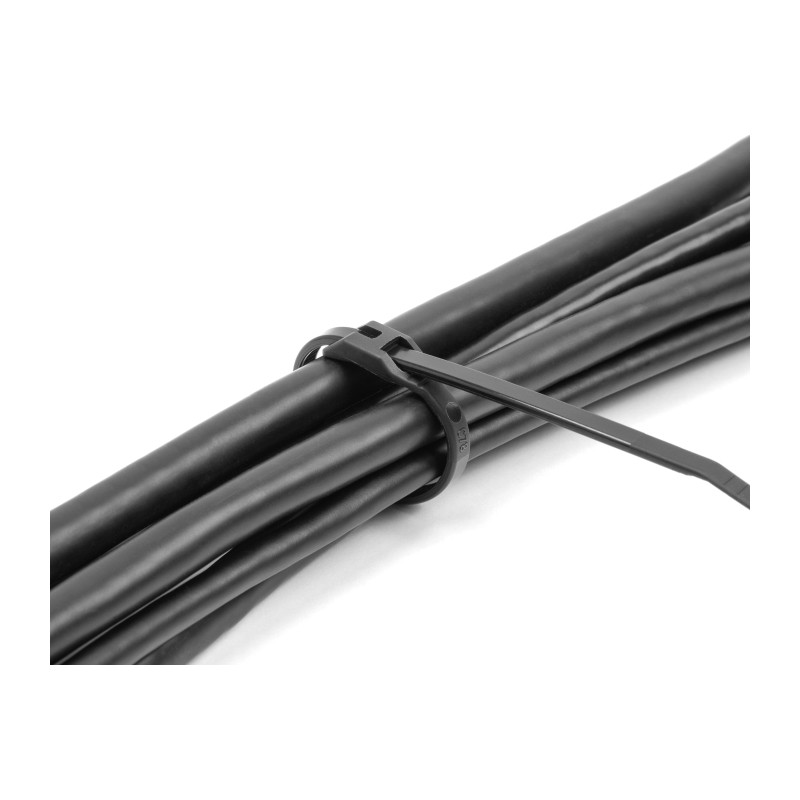 Delock Kabelbinder mit flachem Kopf L 205 x B 2,5 mm 100 Stück schwarz