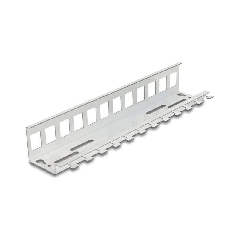 Delock Keystone Metall Halterung 12 Port für Hutschienen und Wandmontage
