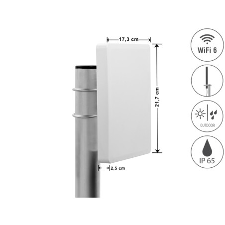 Delock WiFi 6 MIMO Antenne 2 x N Buchse 8 dBi direktional Mastmontage outdoor