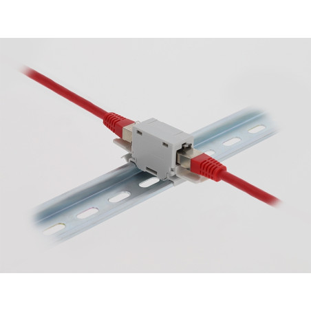 Delock RJ45 Kupplung Cat.6A Buchse zu Buchse mit Staubschutzklappe für Hutschienen Montage grau