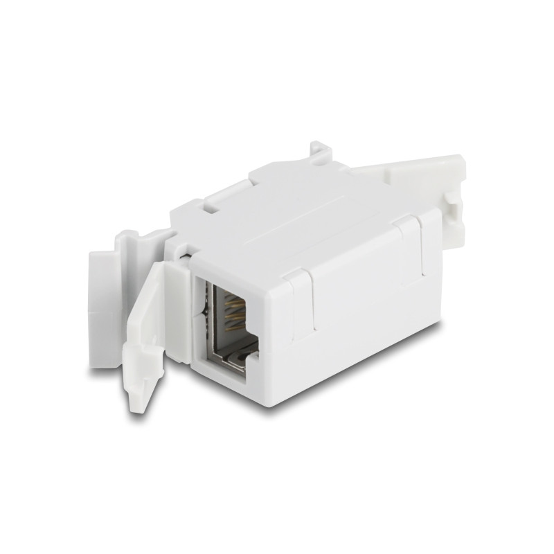 Delock RJ45 Kupplung Cat.6A Buchse zu Buchse mit Staubschutzklappe für Hutschienen Montage grau