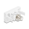 Delock Easy 45 Modul IEC Stecker zu F Buchse weiß