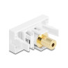 Delock Easy 45 Modul Klinkenbuchse 3,5 mm 4 Pin zu Klinkenbuchse 3,5 mm 4 Pin vergoldet weiß