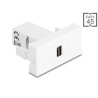 Delock Easy 45 Modul mini DisplayPort Buchse zu mini DisplayPort Buchse