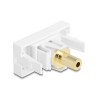 Delock Easy 45 Modul Klinkenbuchse 3,5 mm 3 Pin zu Klinkenbuchse 3,5 mm 3 Pin vergoldet weiß