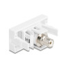 Delock Easy 45 Modul Buchse zu Cinch Buchse weiß / weiß