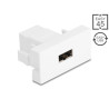 Delock Easy 45 Modul, EASY-USB 2.0 Typ-A Buchse zu EASY-USB Typ-A Buchse weiß
