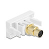Delock Easy 45 Modul Mini-DIN 6 Pin Buchse zu Buchse vergoldet weiß