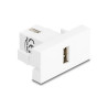 Delock Easy 45 Modul USB 2.0 Typ-A Buchse zu USB 2.0 Typ-A Buchse weiß