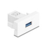 Delock Easy 45 Modul USB 5 Gbps Typ-A Buchse zu USB 5 Gbps Typ-A Buchse weiß (1:1)