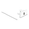Delock Easy 45 Modul USB 2.0 Typ-A Buchse zu Terminalblock weiß