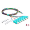Delock LWL Pigtail Fanout Kabel 12 x SC-UPC Simplex Stecker zu 12 x offenes Kabelende 1 m