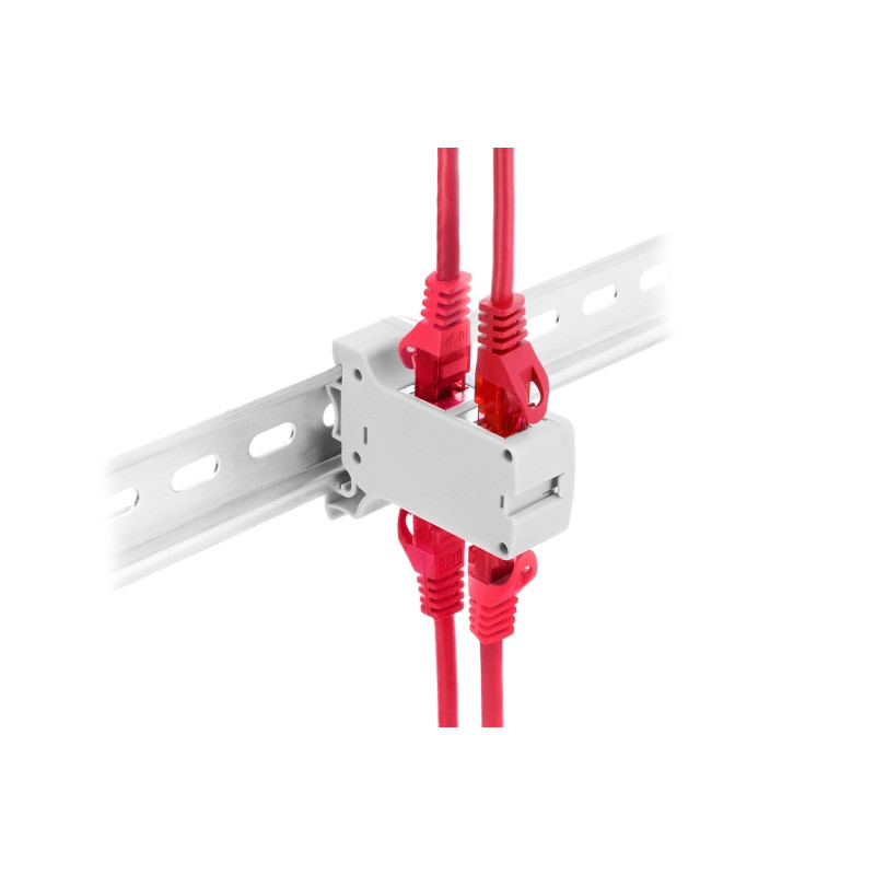 Delock RJ45 Kupplung Cat.6A Dual Buchse zu Buchse für Hutschienen Montage grau